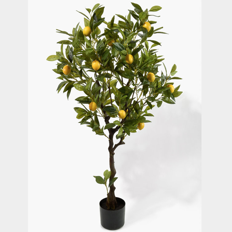 Primrue 47'' Faux Lemon Tree Wayfair